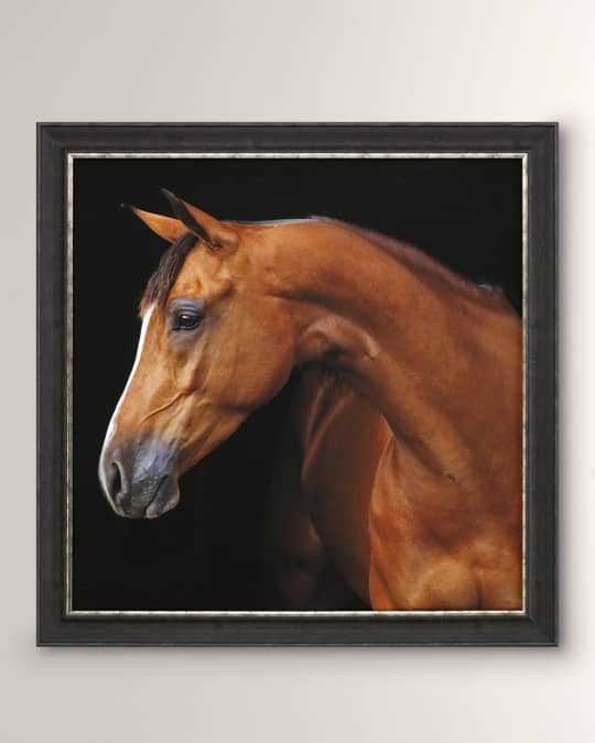 "Jack the Horse" Art Print 
