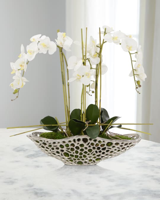 Orchid Display Floral Arrangement 