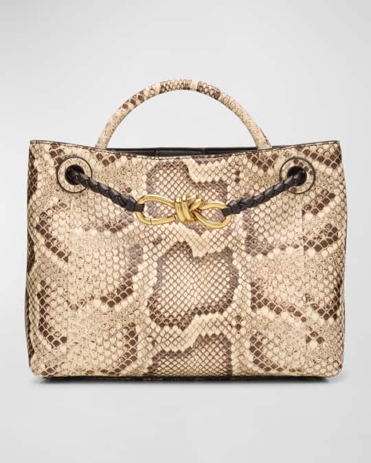 Small Andiamo Python Tote Bag