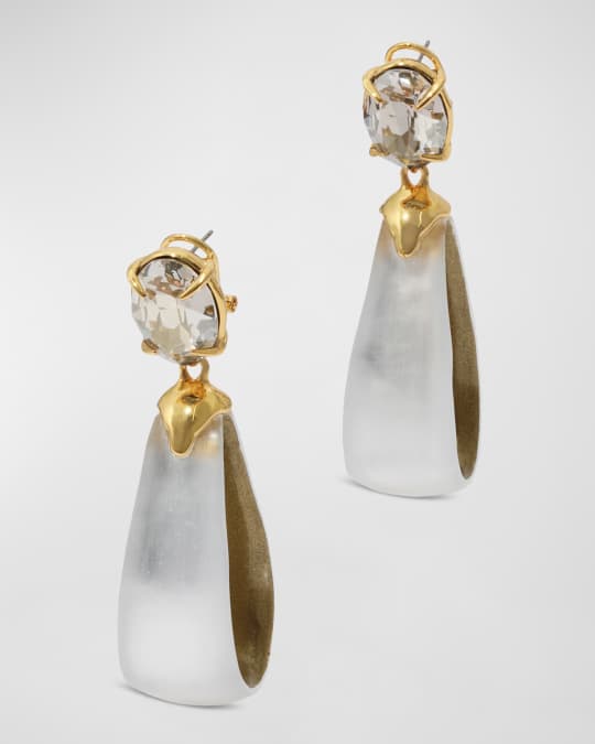 Bonbon Crystal Lucite Teardrop Hoop Earrings