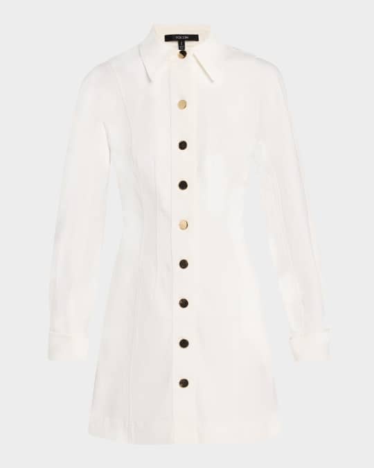Alexa Denim Seamed Mini Dress
