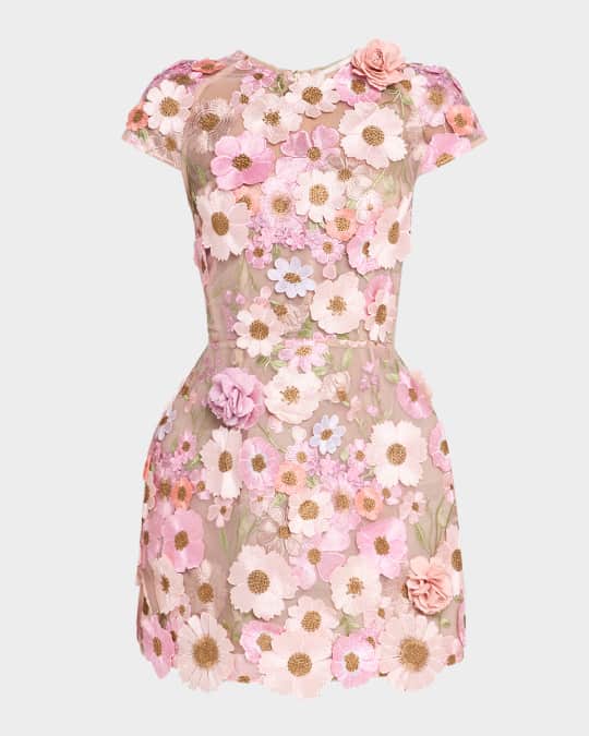 Jasmine Embroidered Floral Applique Mini Dress