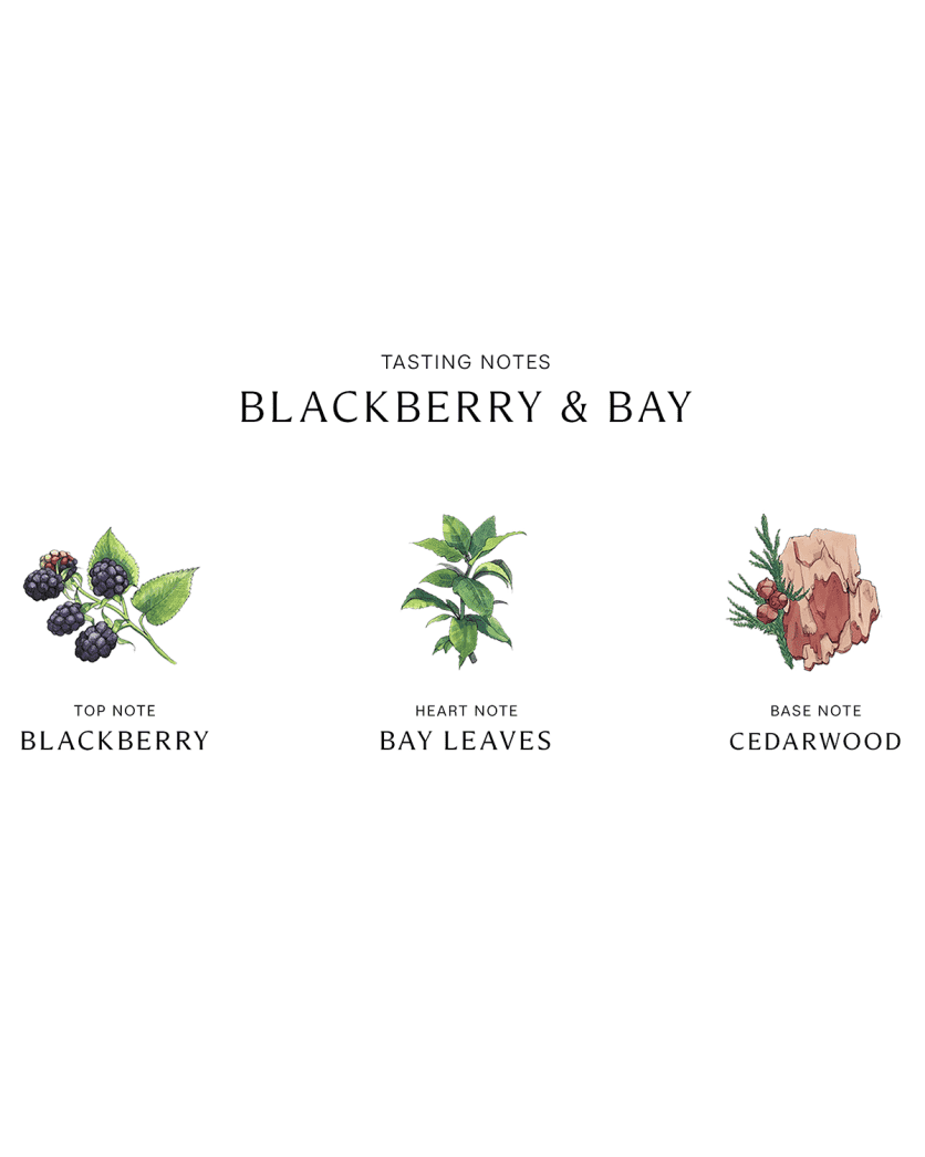 Blackberry & Bay Cologne 2
