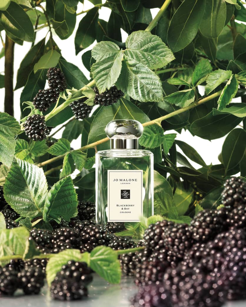 Blackberry & Bay Cologne 3