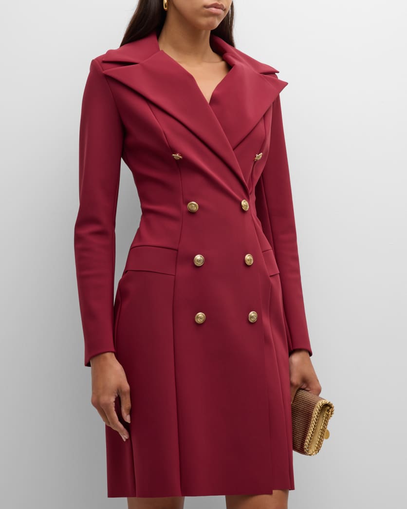 Double-Breasted Blazer Dress 2