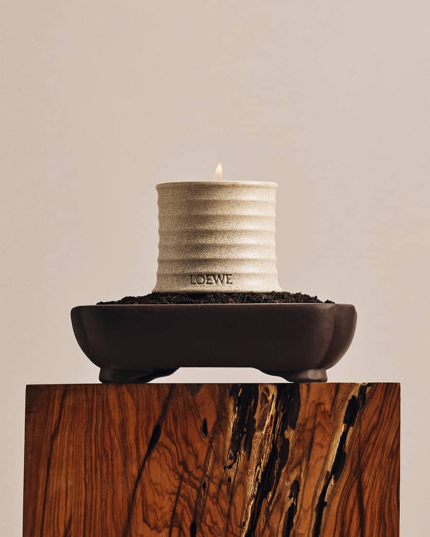 Textura Tuberose Scented Candle, 5.8 oz.