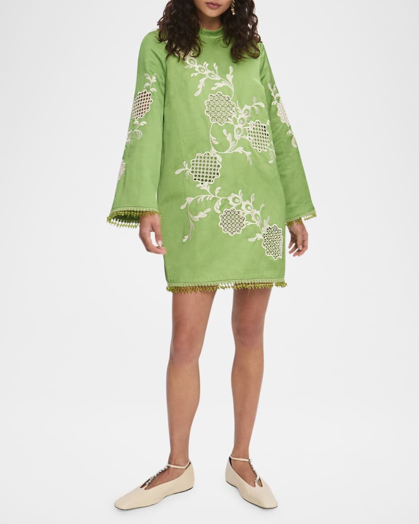Luisa Embroidered Mini Dress