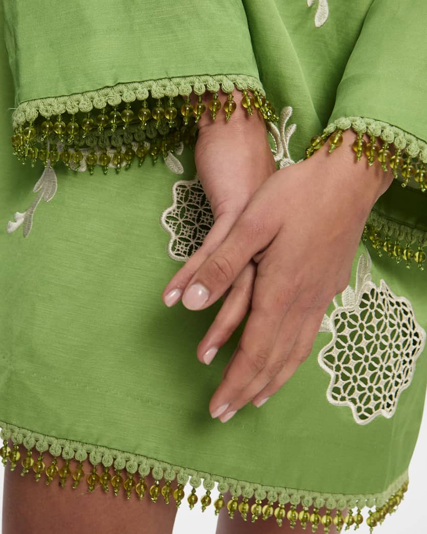Luisa Embroidered Mini Dress