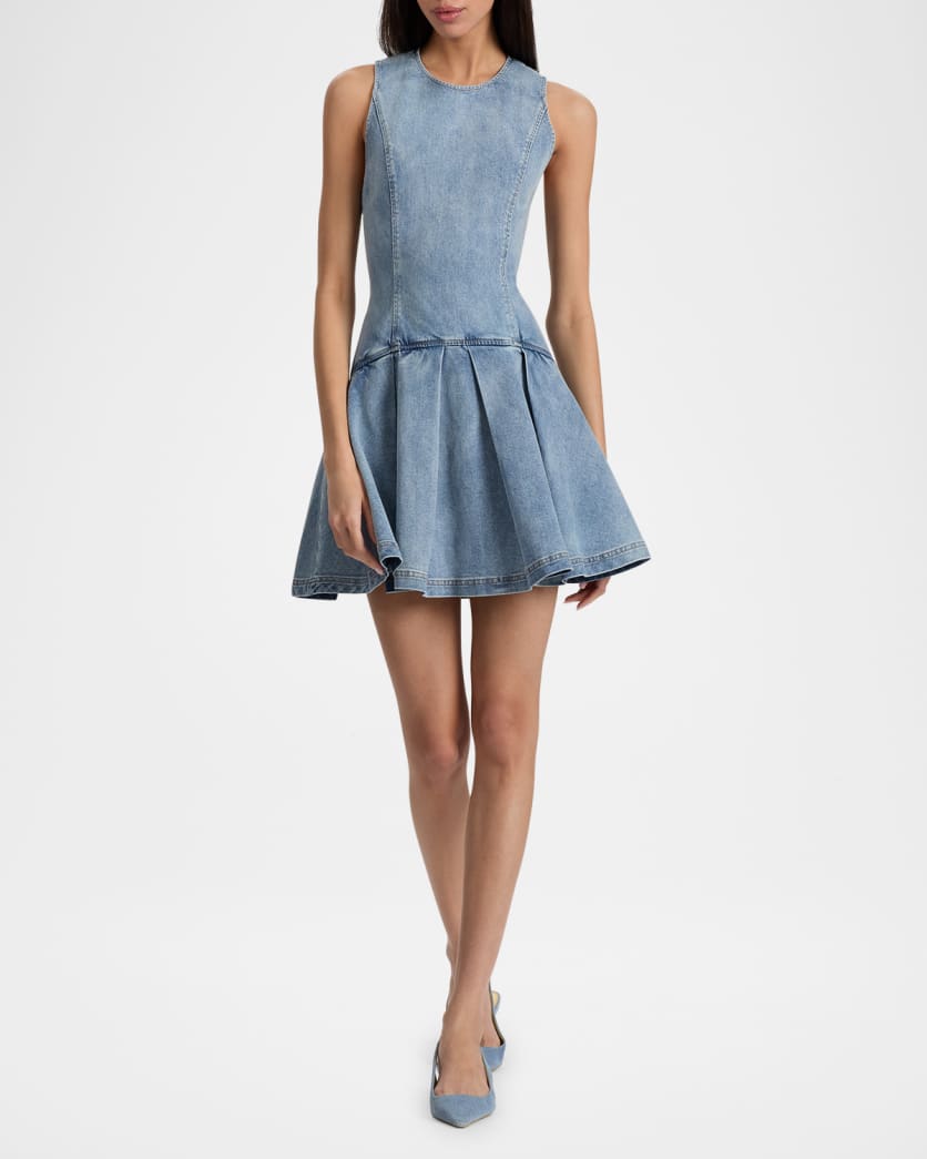 Adley Sleeveless Drop-Waist Denim Mini Dress