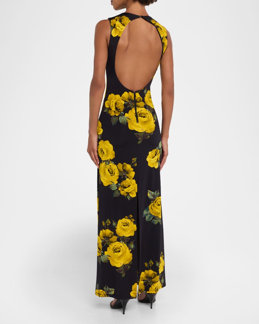 Delora Rosehips Open-Back Sleeveless Maxi Dress