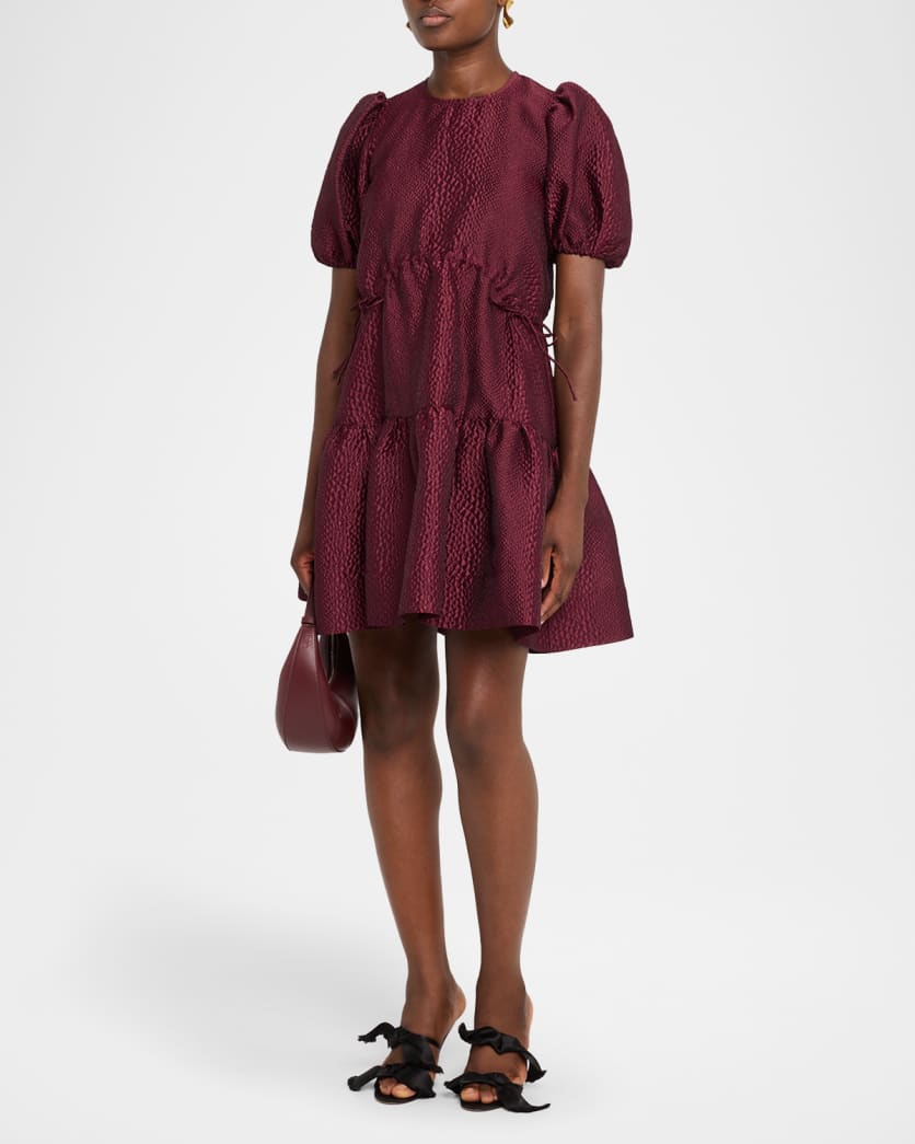 Fayetta Embossed Puff-Sleeve Mini Dress