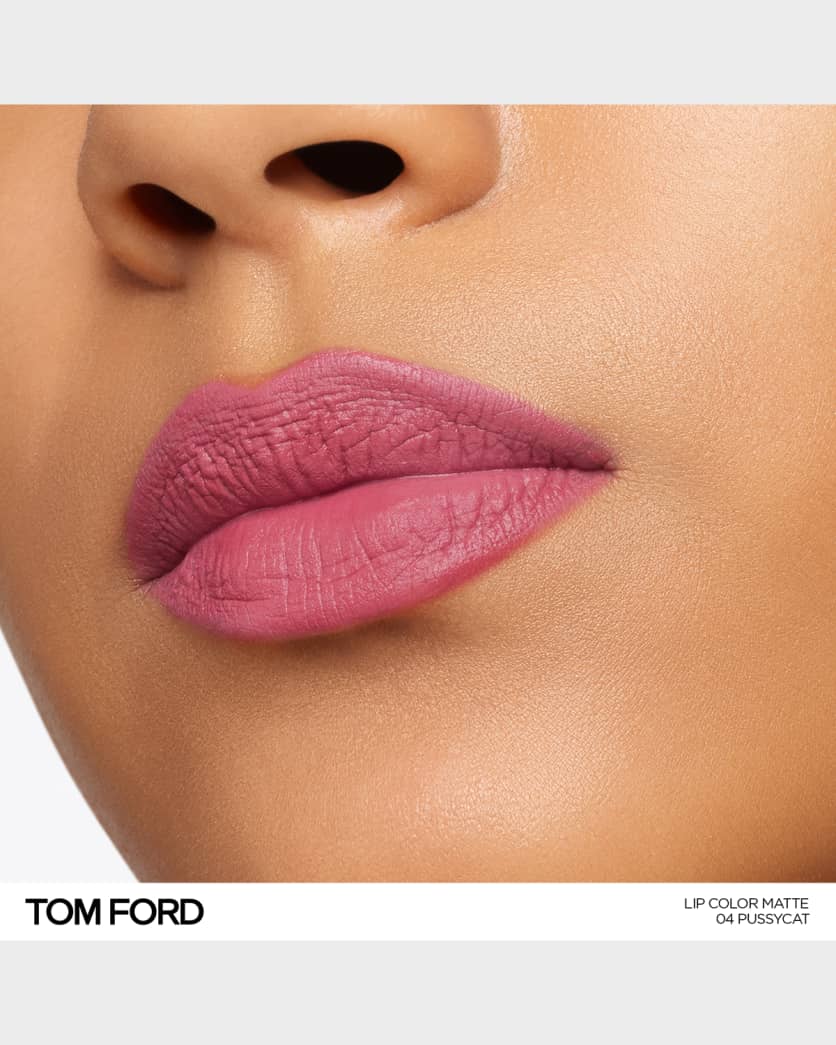Lip Color Matte Lipstick 2
