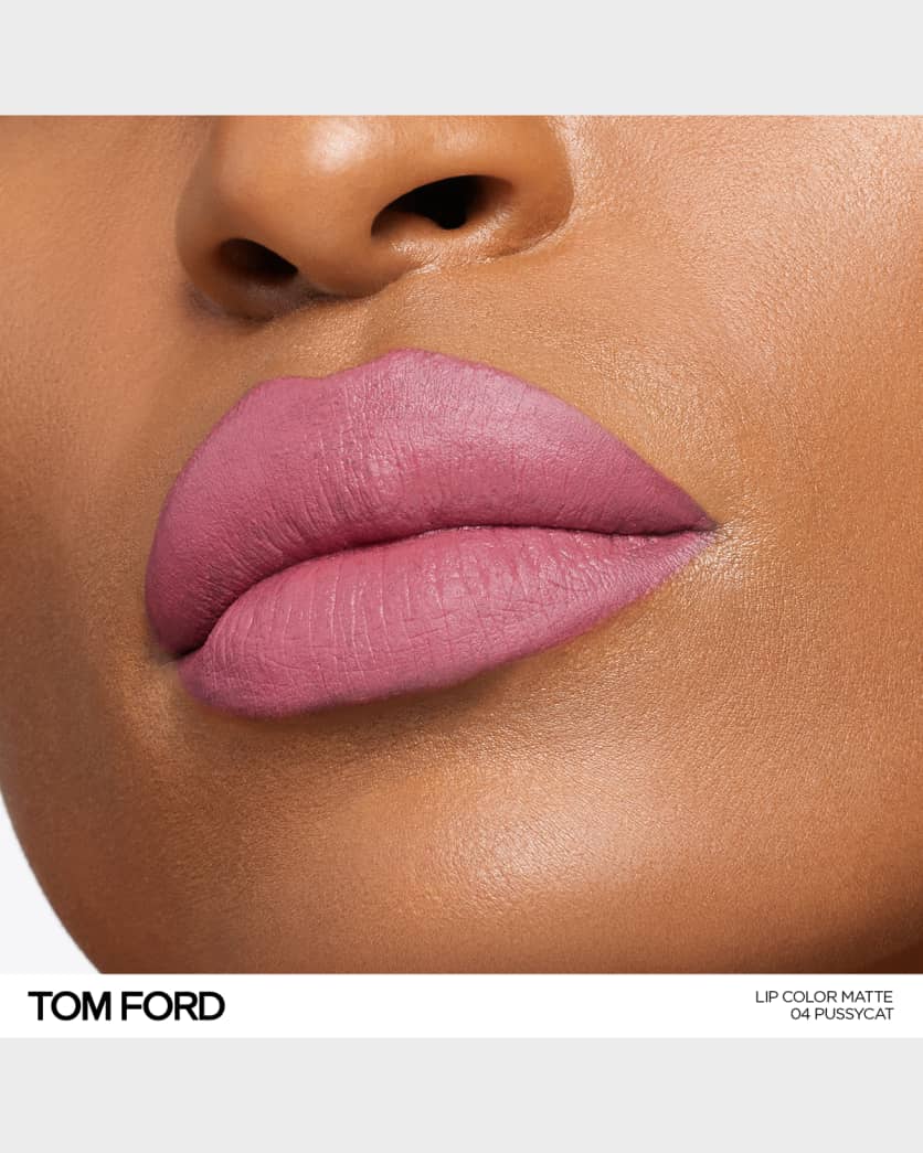 Lip Color Matte Lipstick 3