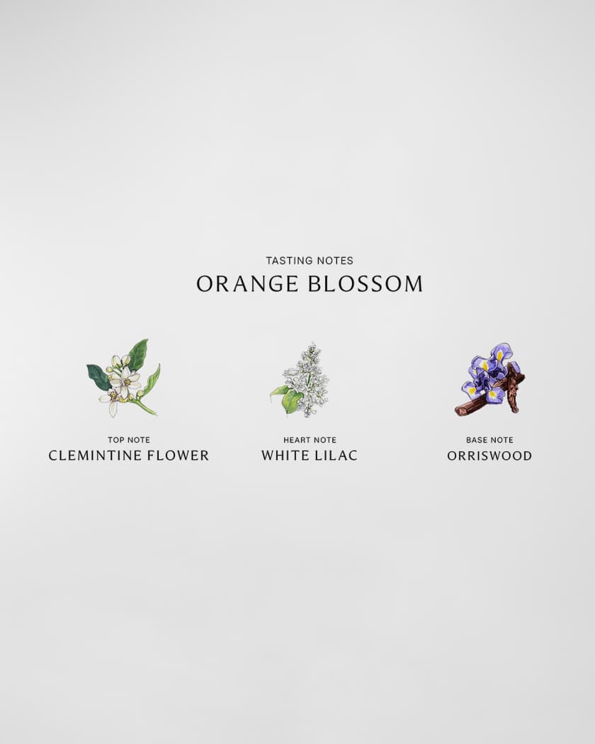Jo malone orange blossom notes hotsell