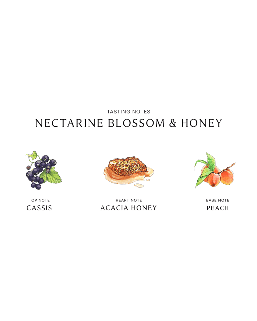 Jo Malone London Nectarine Blossom & Honey Cologne, 1.0 oz