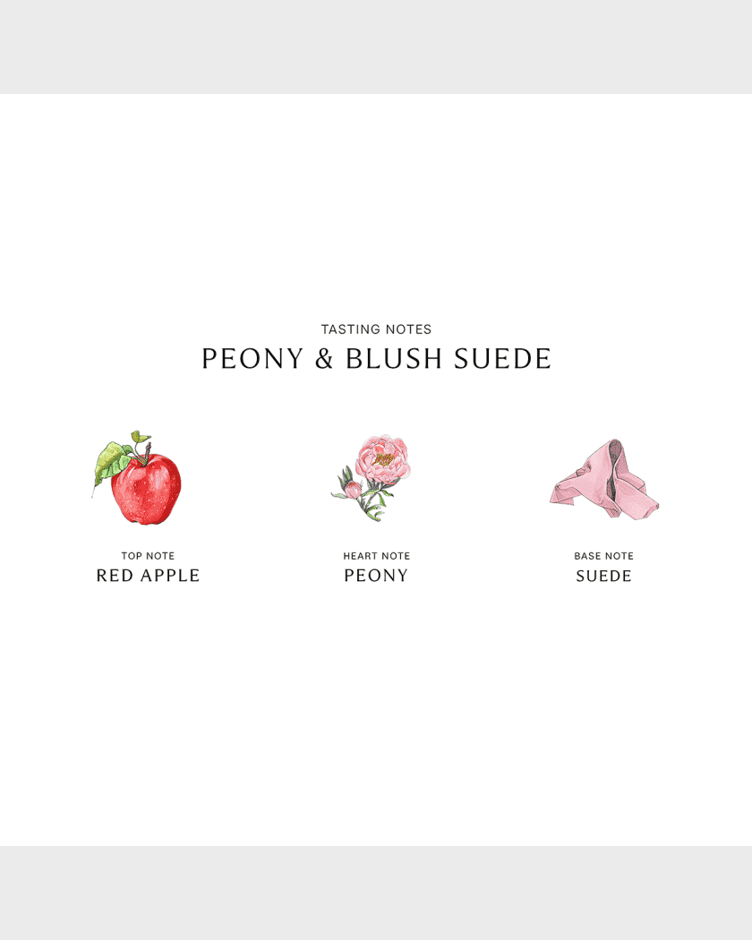 Jo malone peony on sale and blush suede