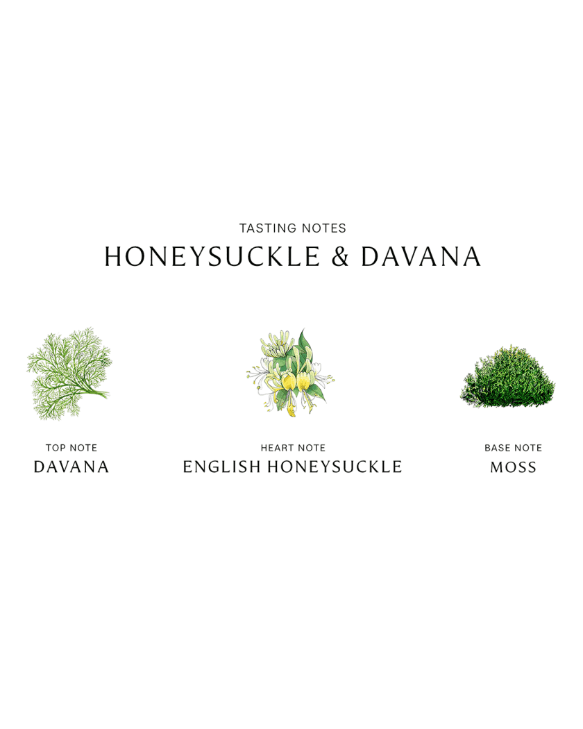 Honeysuckle & davana cheap