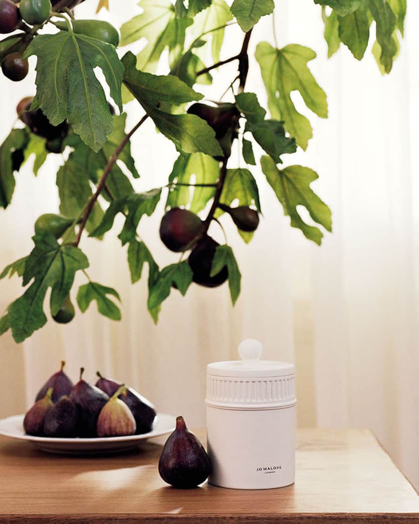 Jo malone fig and cassis cologne store