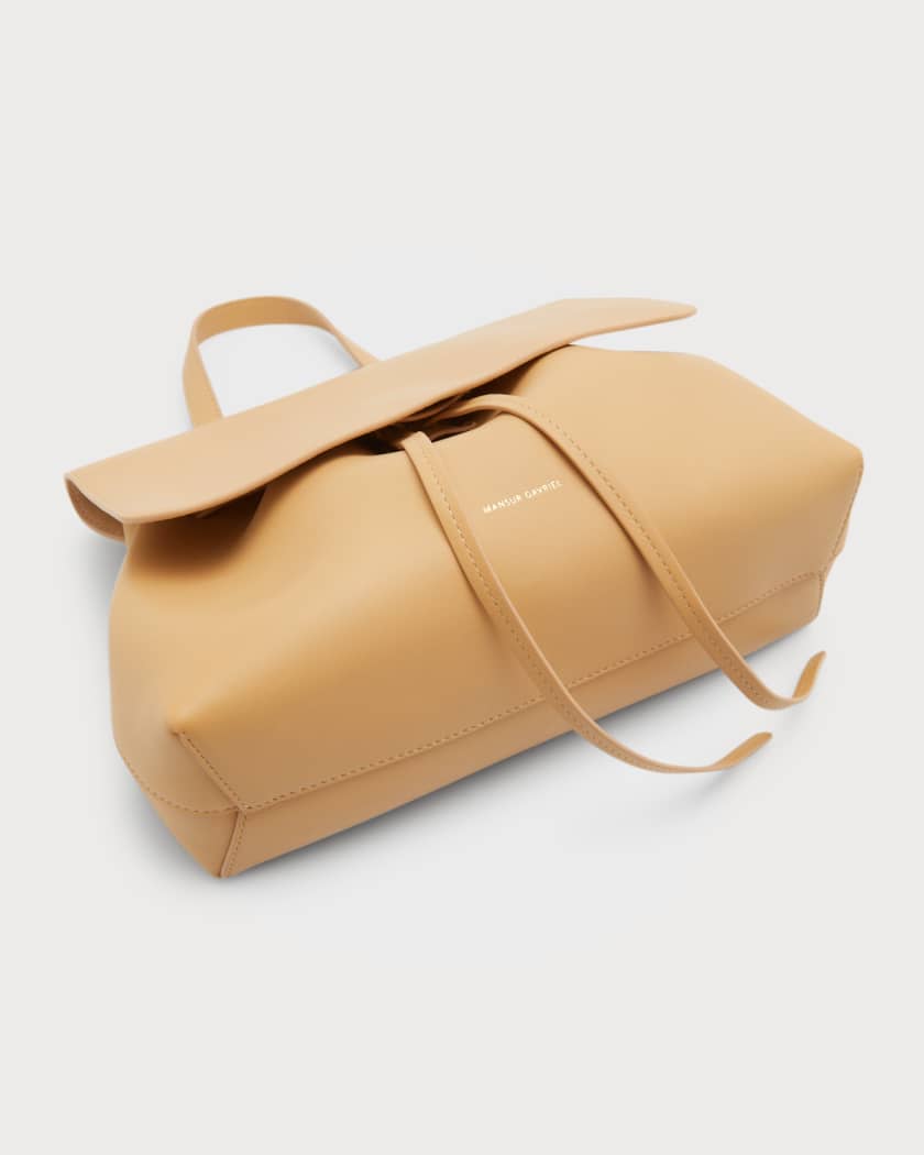 I Have A Mansur Gavriel Large Lady Bag and Feel Terrible About It —  twelveofour