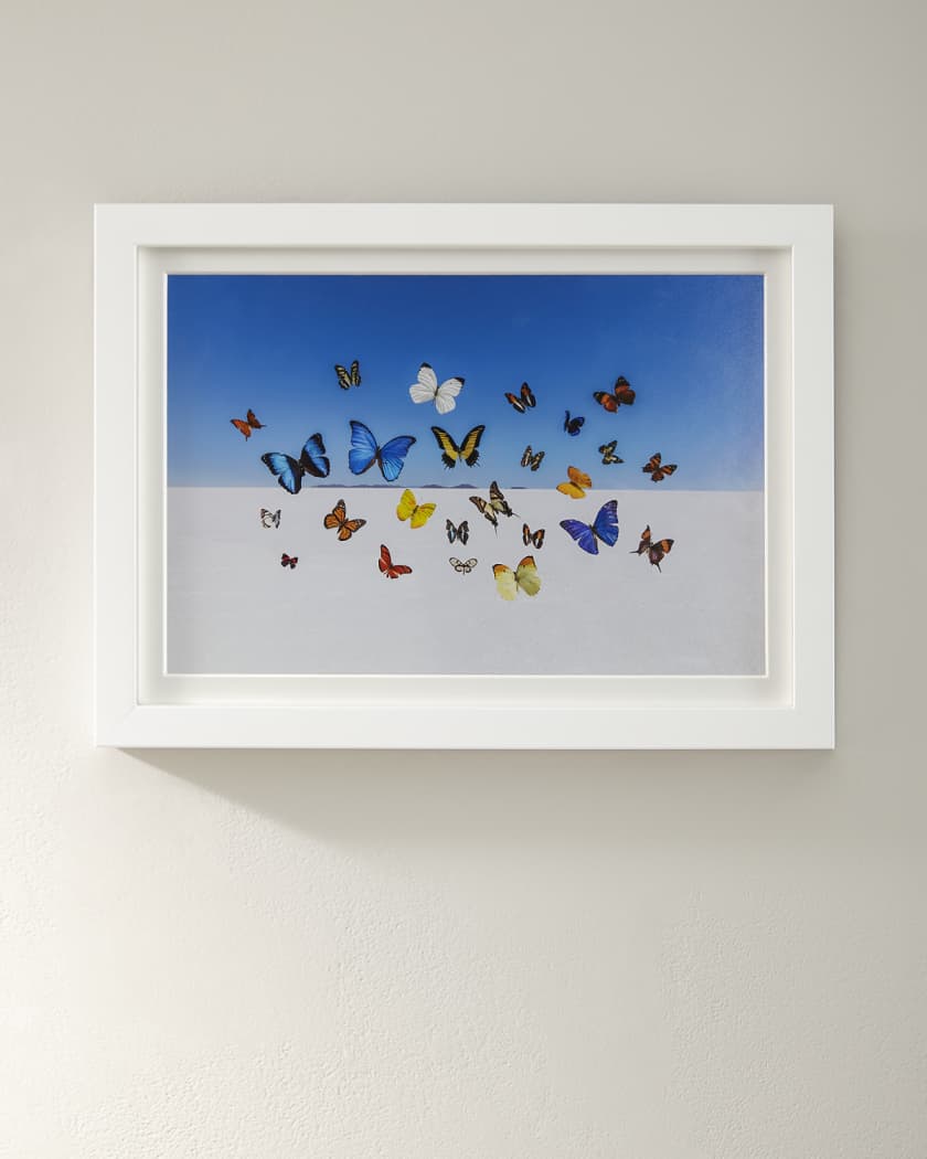 Gray Malin Butterflies Mini Giclee Print Neiman Marcus