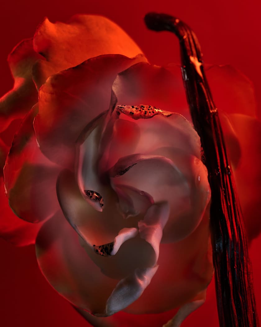 Allegra Baciami Eau De Parfum, 3.4 oz.