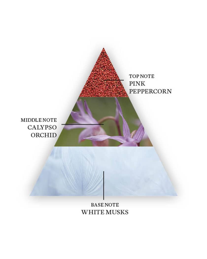 Yin Transformation Eau de Parfum, 1.7 oz.