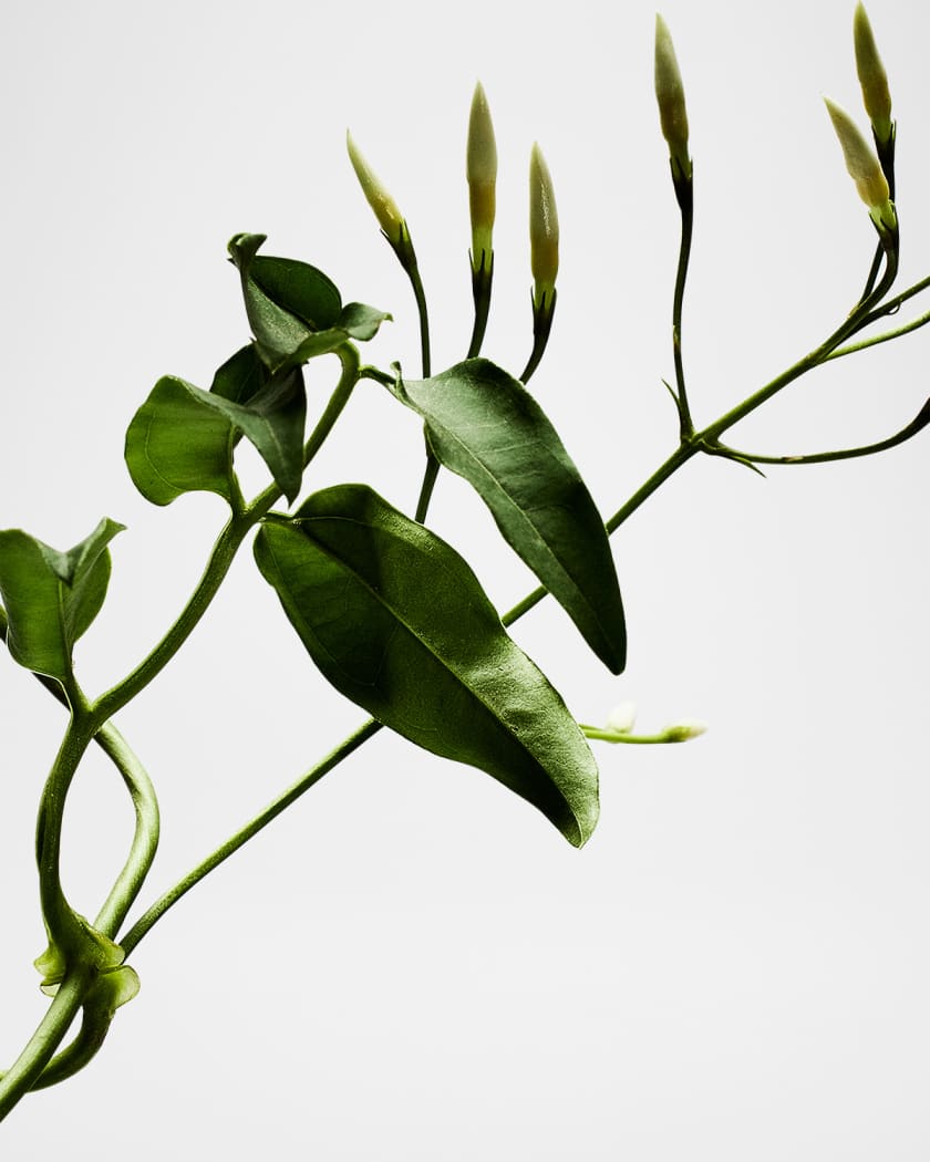 001 Woman Eau de Parfum