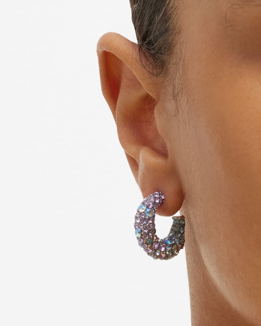 Oscar de la on sale renta hoop earrings