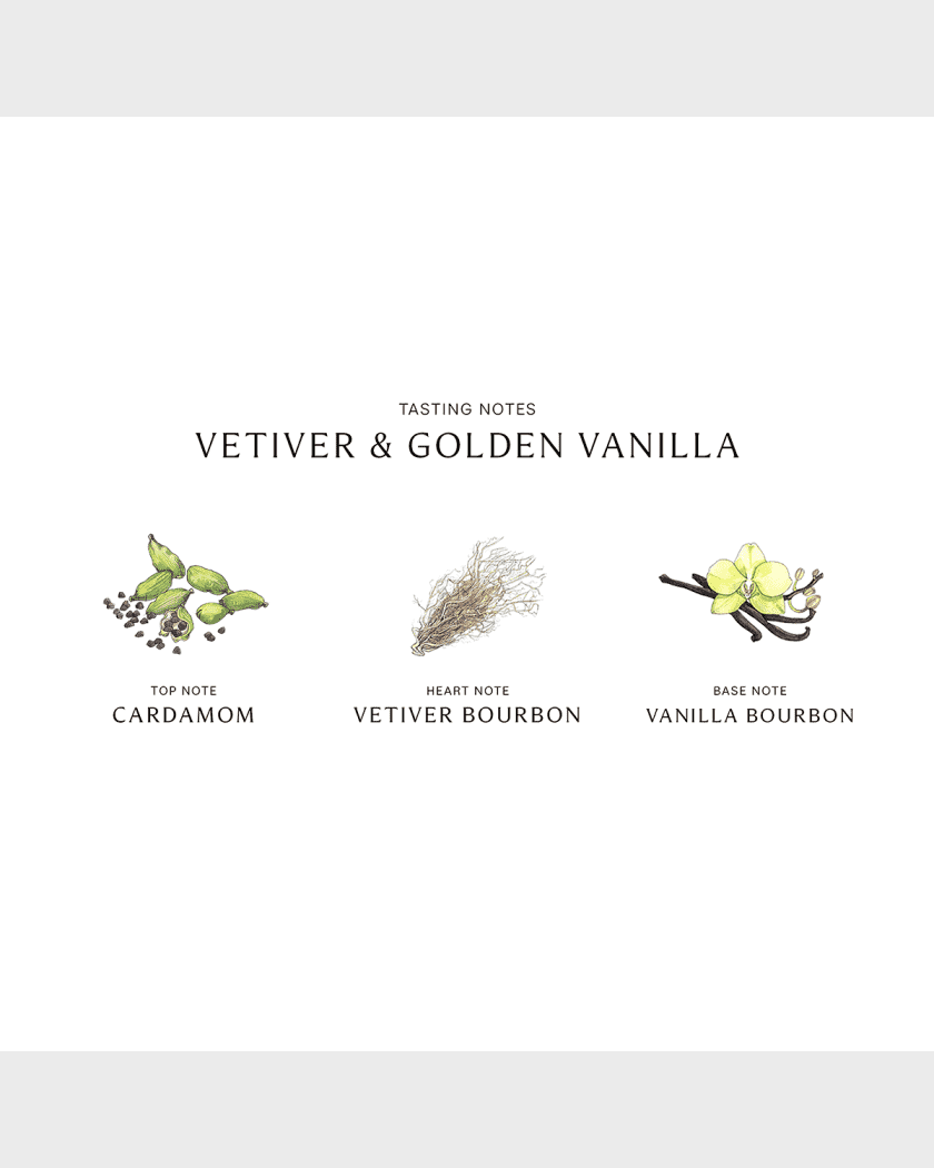 Vetiver & golden vanilla cologne intense best sale