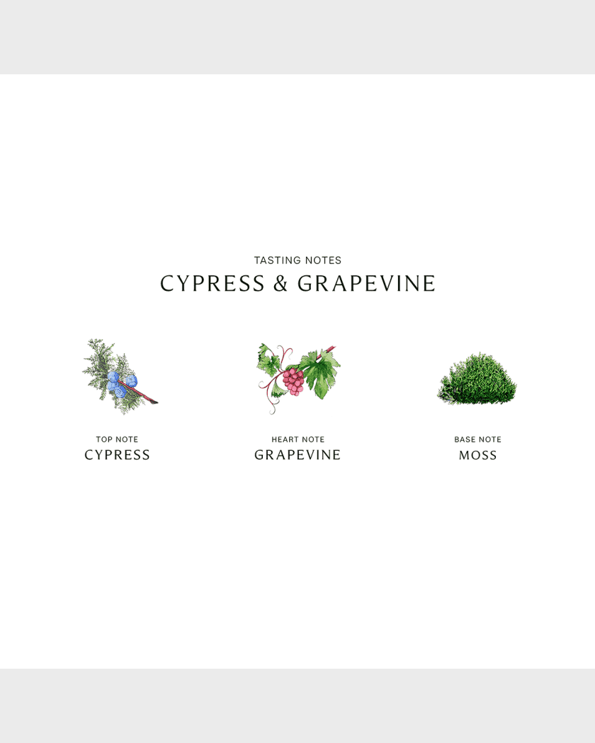 Jo malone london cypress hotsell and grapevine cologne intense