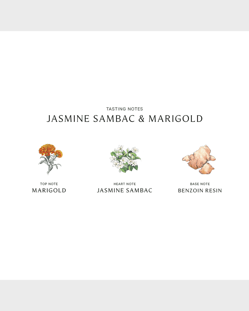 Jasmine sambac & hot sale marigold cologne intense
