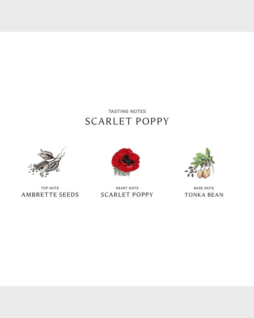 Scarlet poppy jo malone top