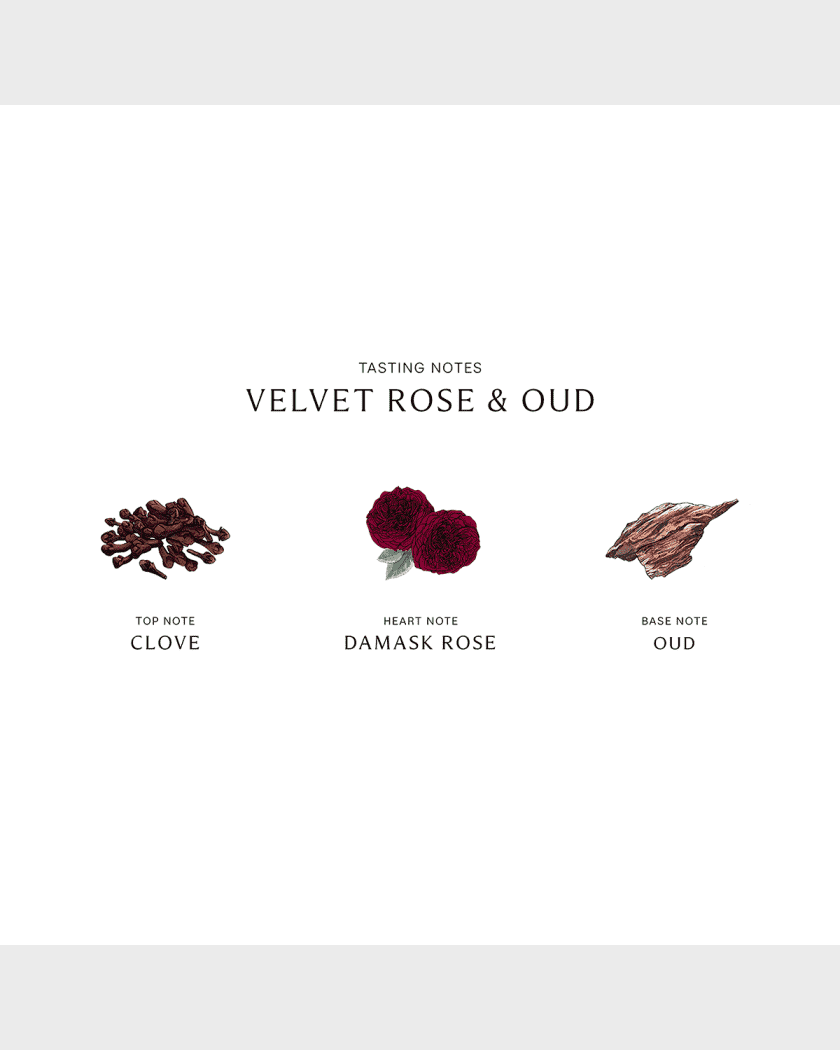 Jo malone velvet rose best sale and oud cologne intense