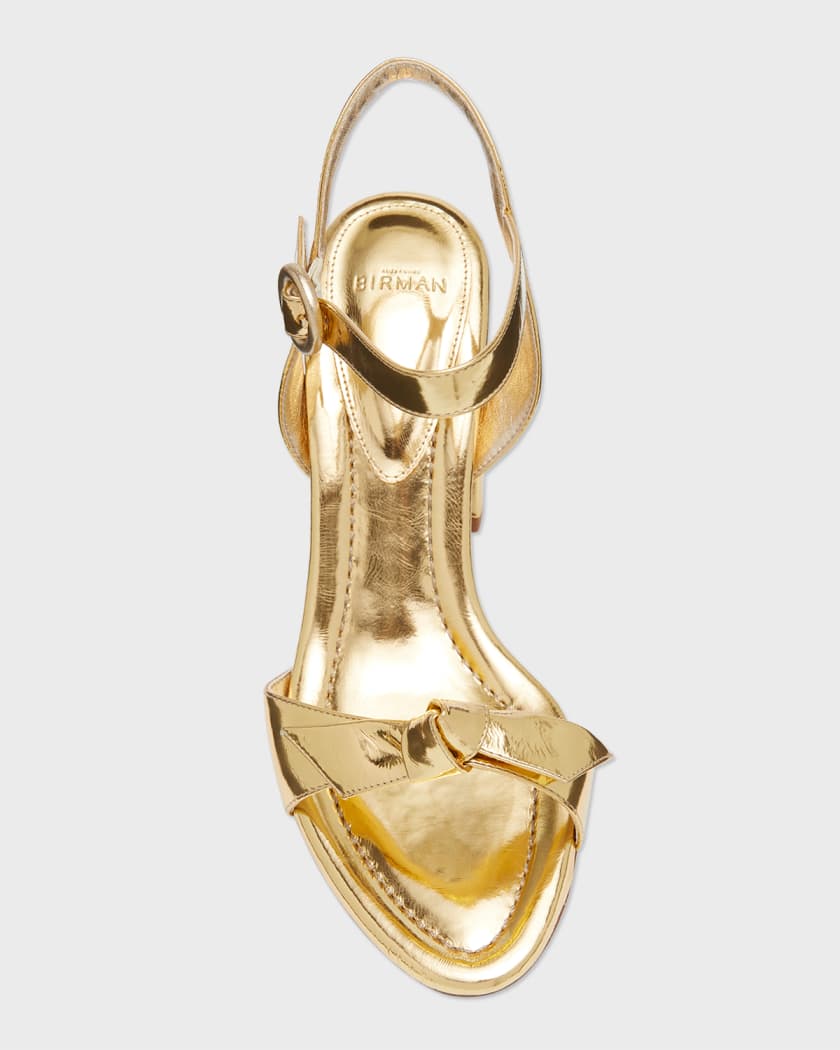 Alexandre birman block heel sandal top