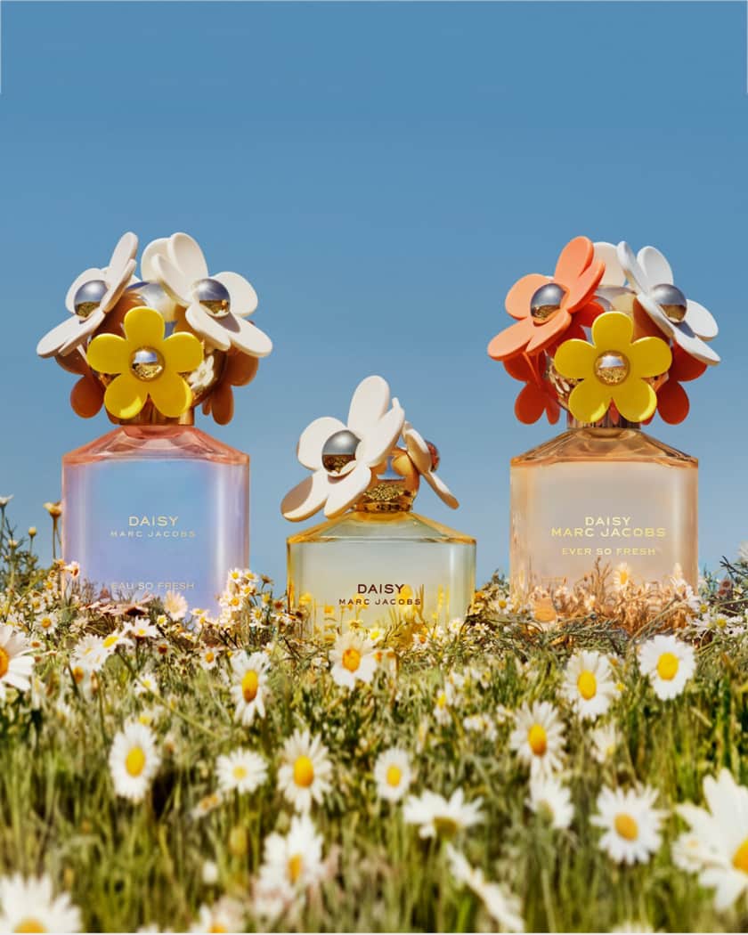 marc jacobs daisy 4.2 Cinosural International School
