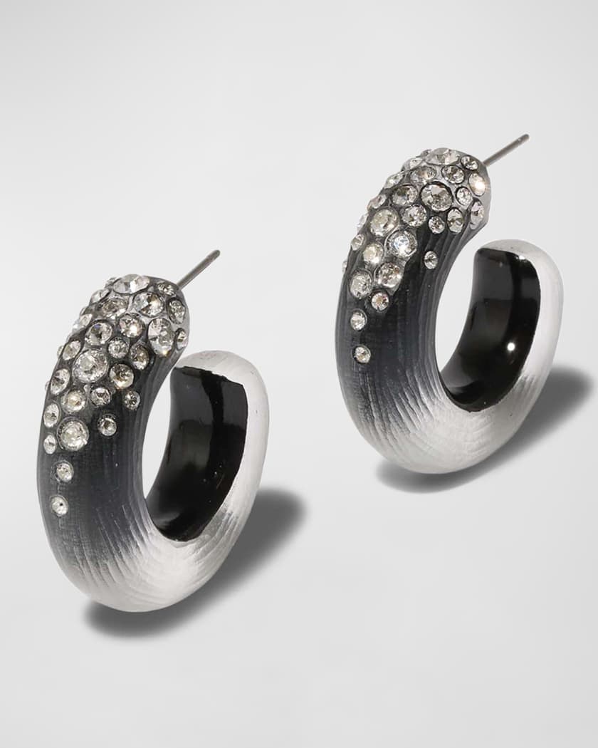 Alexis bittar sale lucite earrings