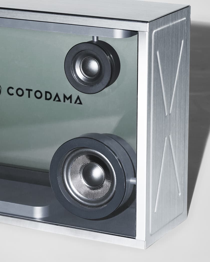 Lyric top speaker price