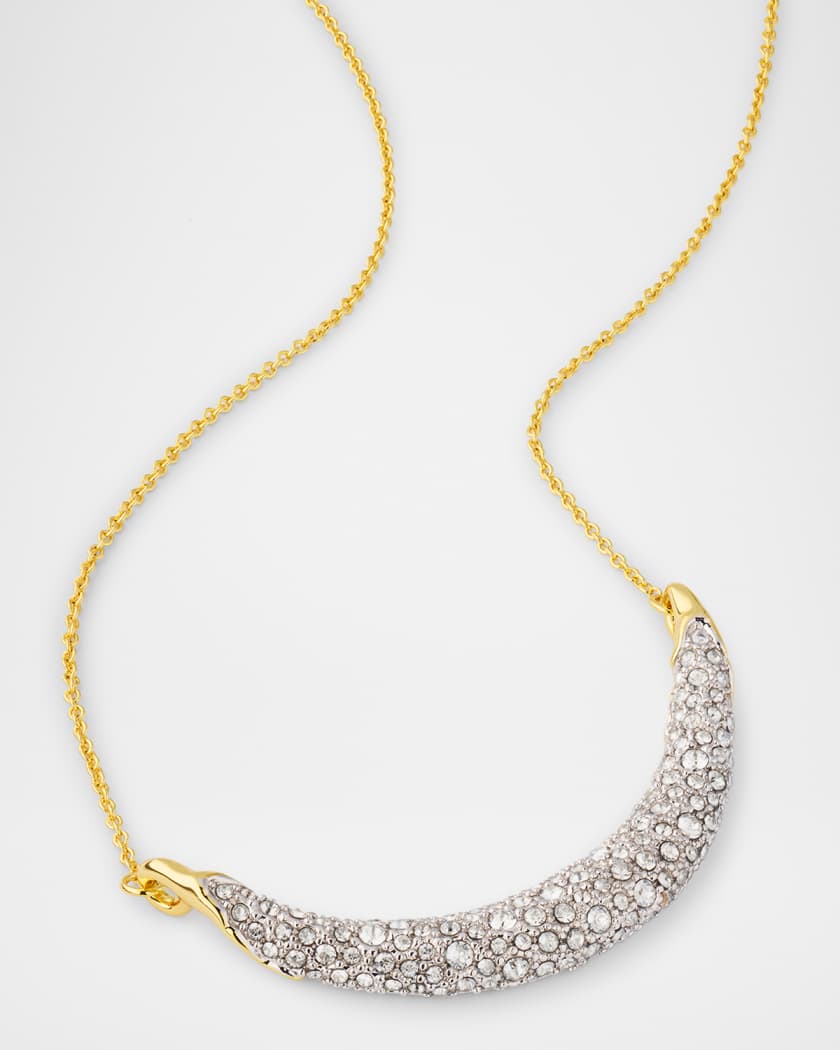 Solanales Crystal Crescent Necklace