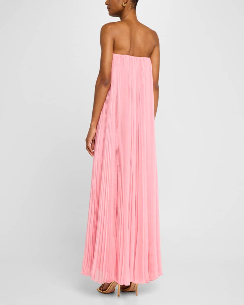Gael Plisse Gown