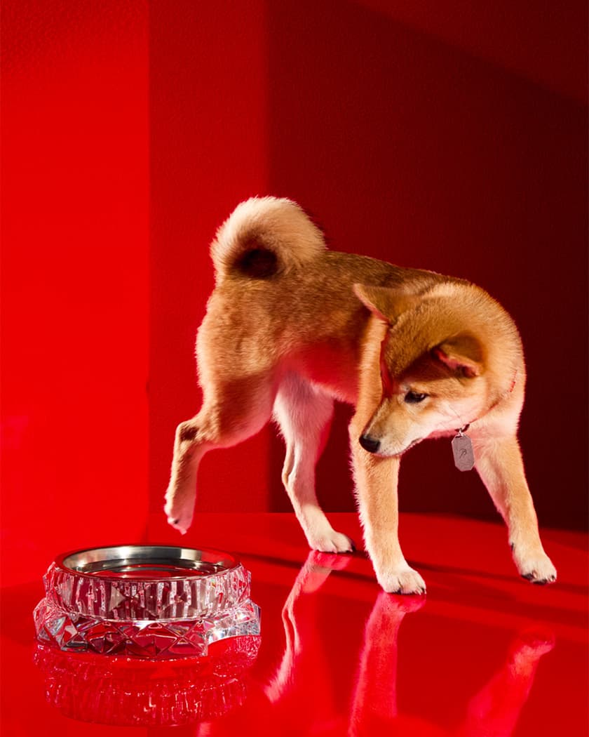 Baccarat　dog gold　　departmentstore Louxor Pet Bowl Collection | Neiman Marcus