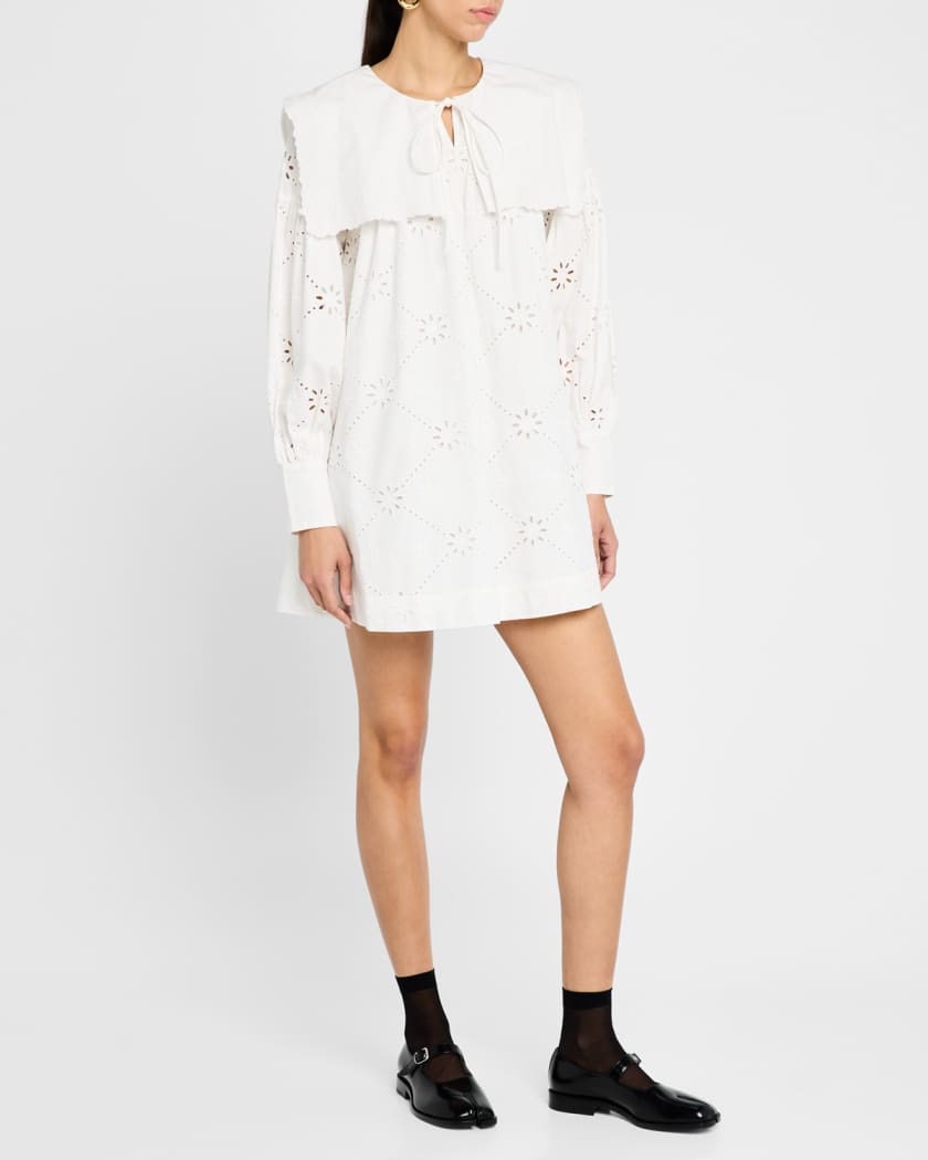 Cassidy Embroidered Long-Sleeve Mini Dress