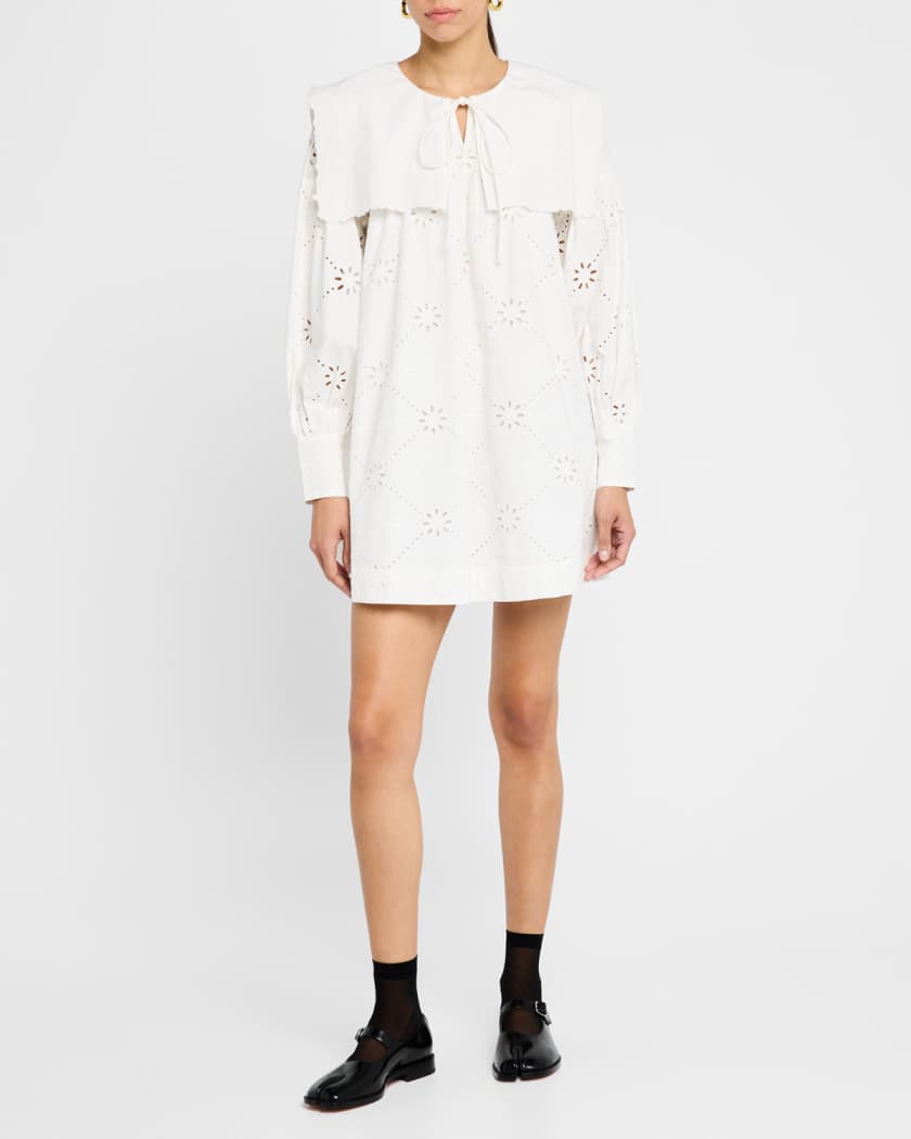 Cassidy Embroidered Long-Sleeve Mini Dress