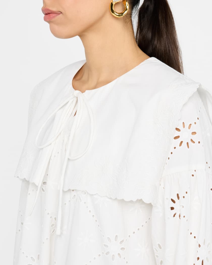 Cassidy Embroidered Long-Sleeve Mini Dress