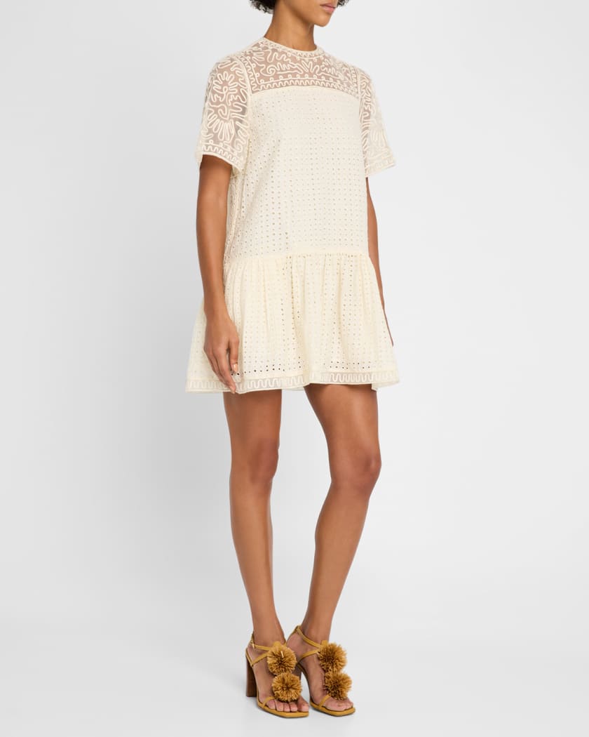 Gabi Embroidered Mini Dress