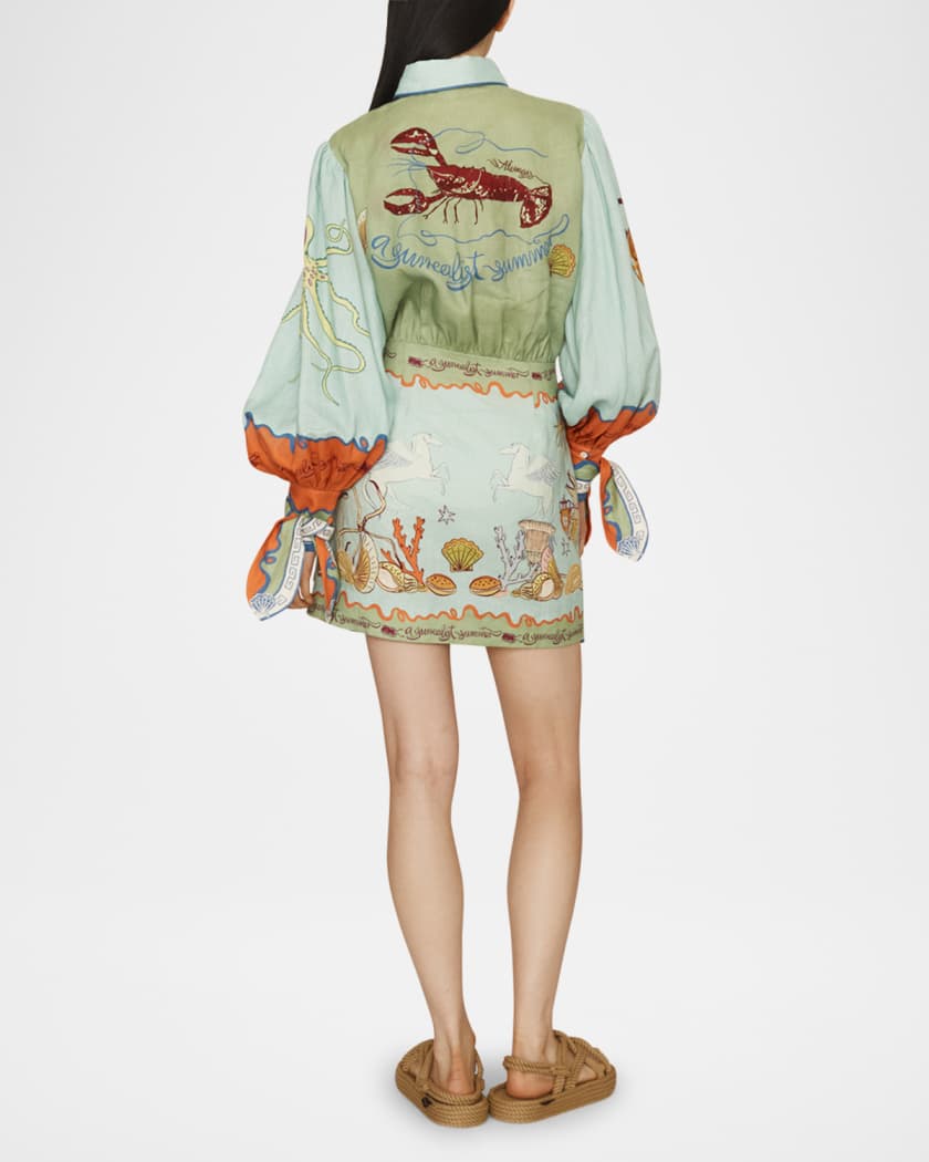Surrealist Summer Mini Shirtdress