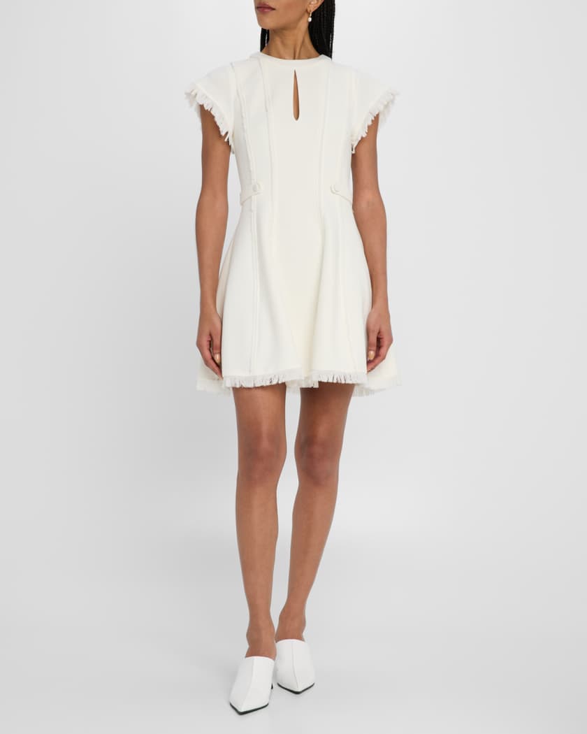 Anielle Fringe Short-Sleeve Mini Dress
