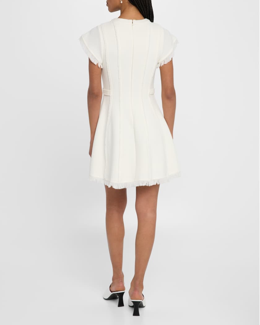 Anielle Fringe Short-Sleeve Mini Dress