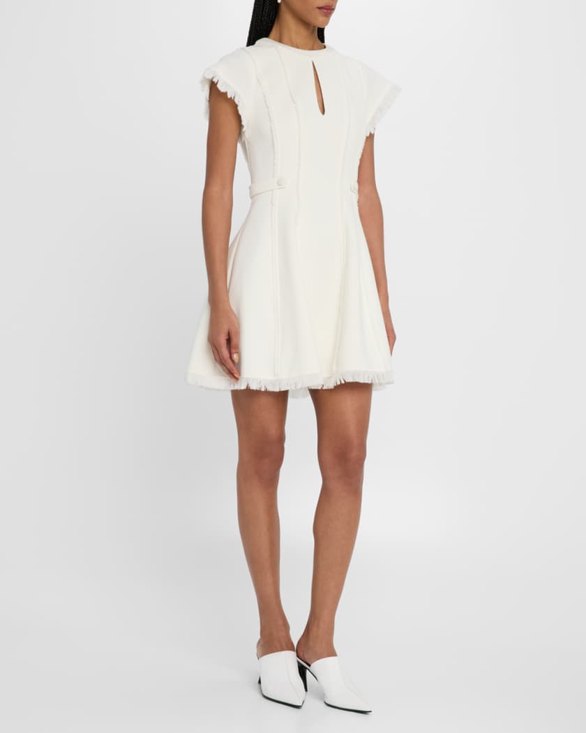 Anielle Fringe Short-Sleeve Mini Dress