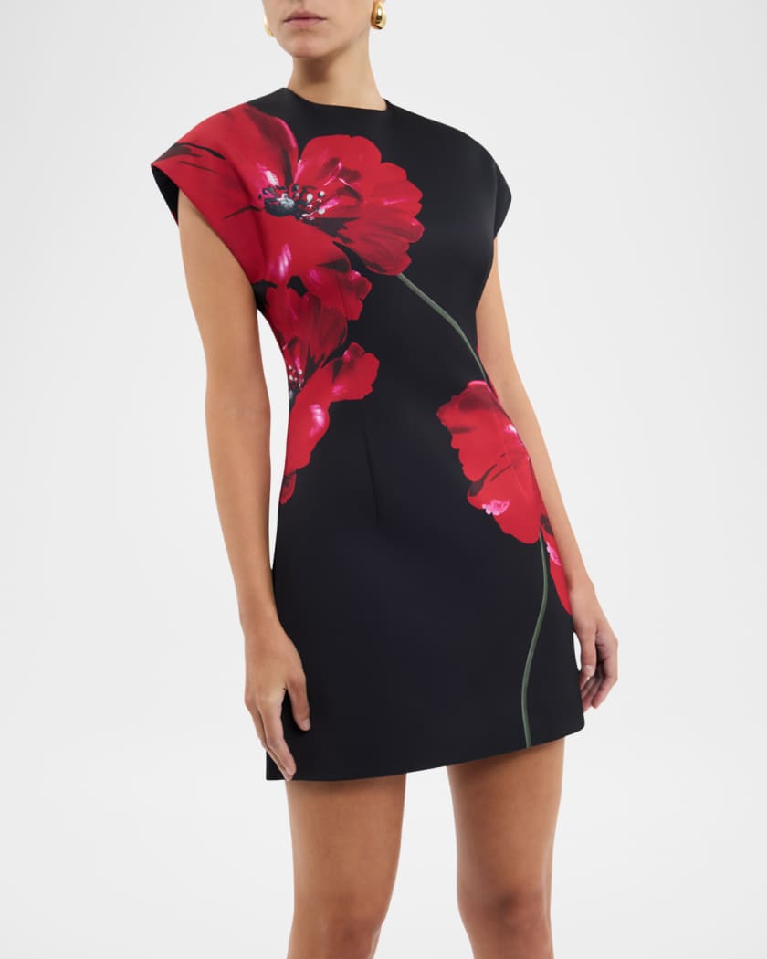 Chaya Floral-Print Mini Dress