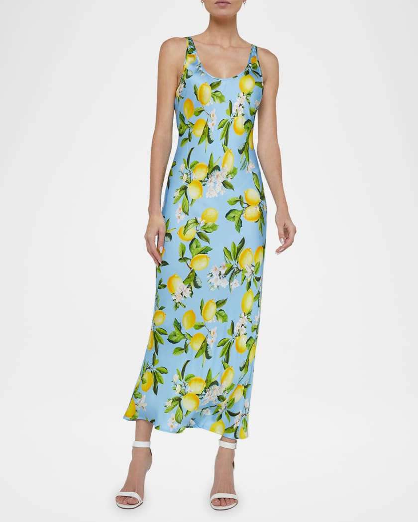 Akiya Tank Dress